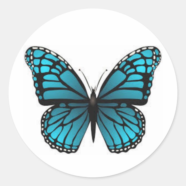 Pegatinas de mariposa cúrcuta (Anverso)