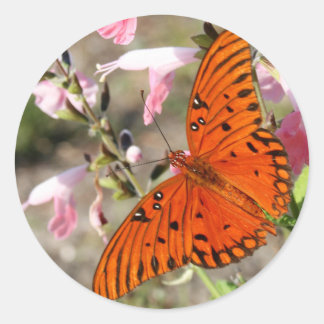 Pegatinas de mariposa de Fritillary
