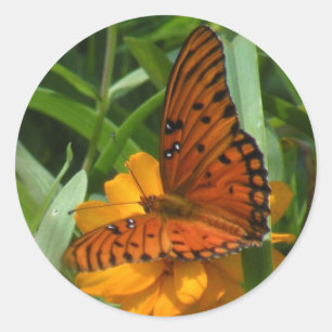 Pegatinas de mariposa de Fritillary
