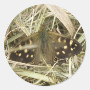 Pegatinas de mariposa de madera espantada