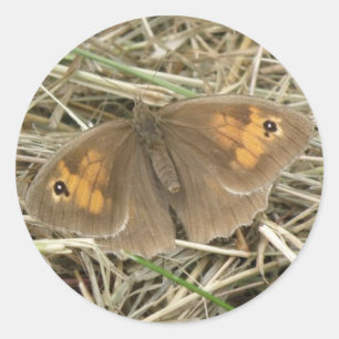 Pegatinas de mariposa marrones