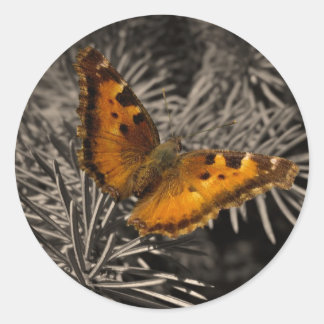 Pegatinas de mariposa naranja