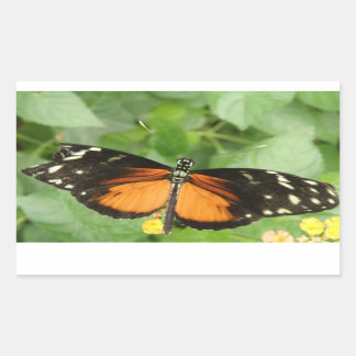 Pegatinas de mariposas de larga duración
