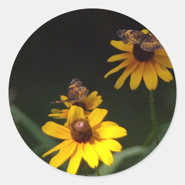 Pegatinas de mariposas y flores silvestres (Anverso)