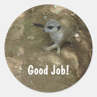 Pegatinas de Meerkat