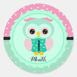 Pegatinas de Mes del Bebé