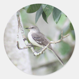 Pegatinas de Mockingbird Round
