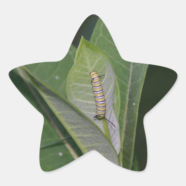 Pegatinas de Monarch Caterpillar (Anverso)