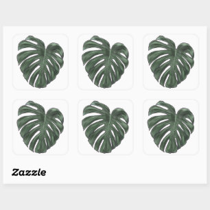 Pegatinas de Monstera