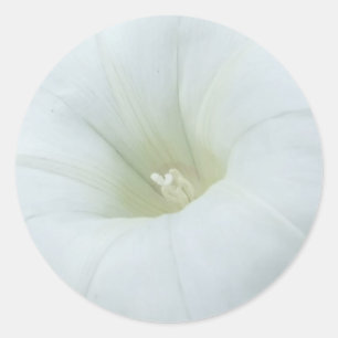 Pegatinas de Moonflower Blancos