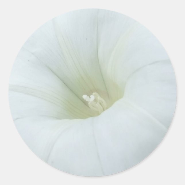 Pegatinas de Moonflower Blancos (Anverso)