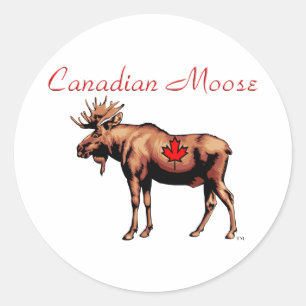 Pegatinas de Moose de Canadá