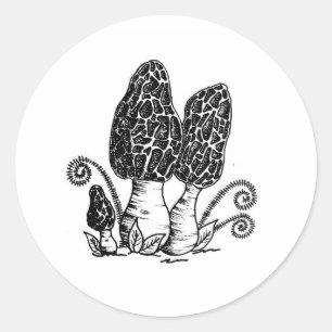 Pegatinas de Morel Mushroom