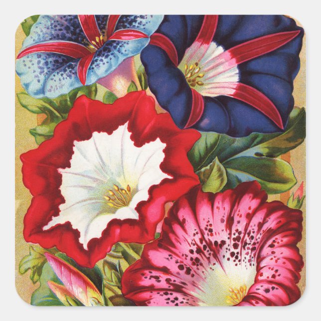 Pegatinas de Morning Glories (Anverso)