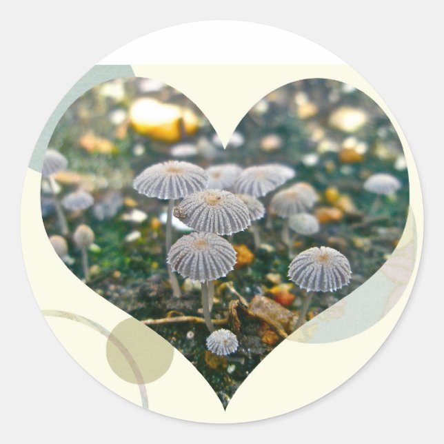 Pegatinas de Mushroom Garden Heart (Anverso)