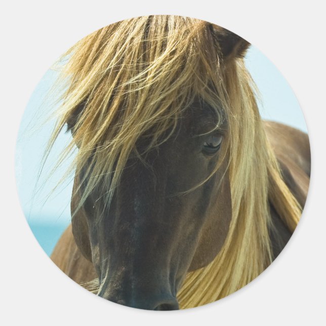 Pegatinas de Mustang (Anverso)