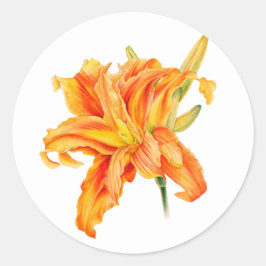 Pegatinas de naranjas florales de Daylily Hemeroca