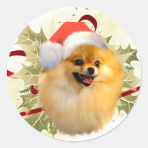 Pegatinas de Navidad de Pomerania