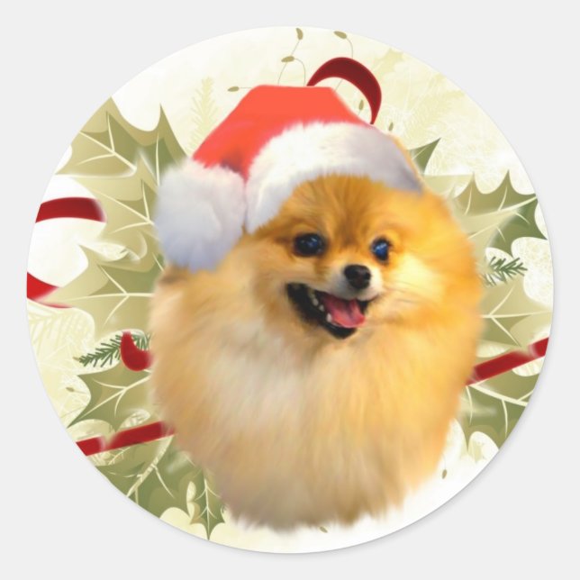 Pegatinas de Navidad de Pomerania (Anverso)