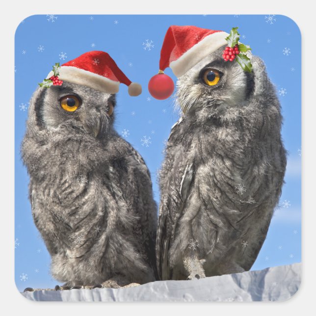 Pegatinas de Navidad gemelas (Anverso)