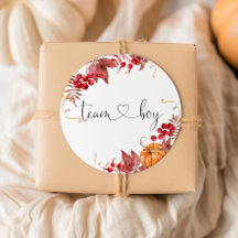 Pegatinas de niño equipo calabaza naranja pequeña