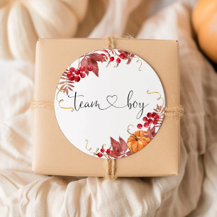 Pegatinas de niño equipo calabaza naranja pequeña