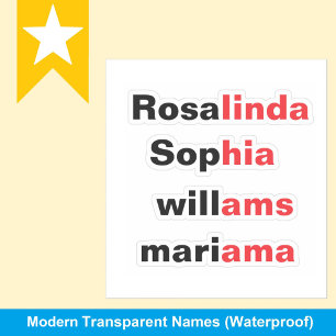 Pegatinas de nombre transparentes de moda