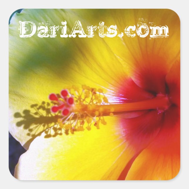 Pegatinas de nombres personalizados de flores amar (Anverso)