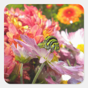 Pegatinas de Nosy Caterpillar