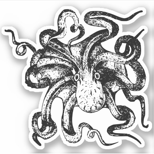 Pegatinas de Octopus Contour (Anverso)