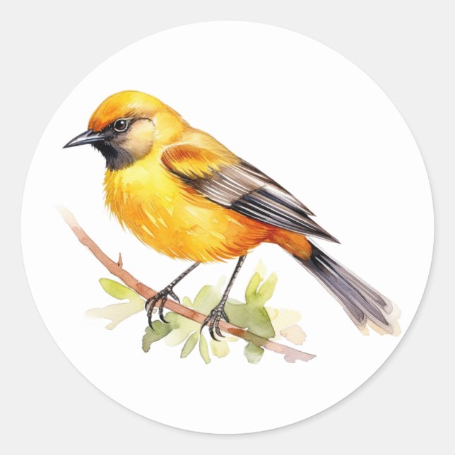 Pegatinas de Orchard Oriole Songbird (Anverso)