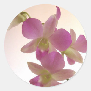 Pegatinas de Orquídea Púrpura