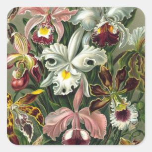 Pegatinas de orquídeas de época
