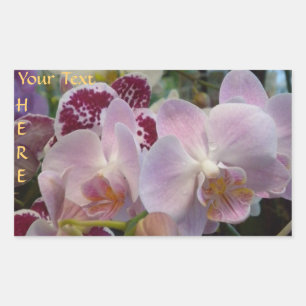 Pegatinas de orquídeas rosas. *personalizar*