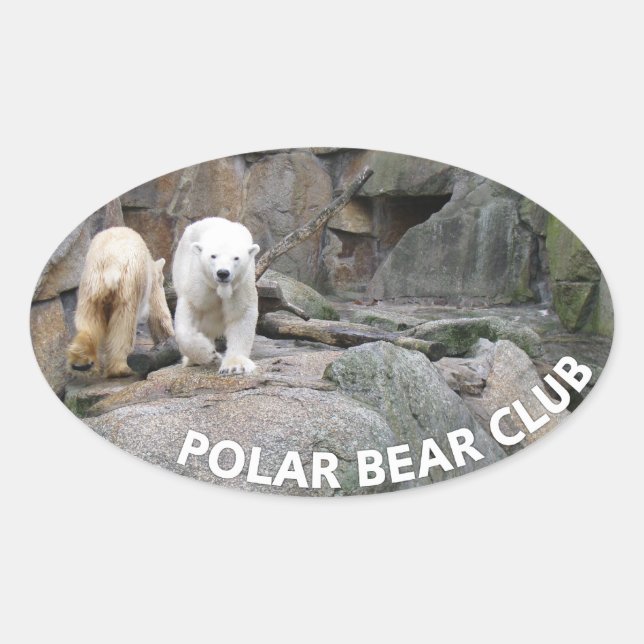 PEGATINAS DE OSO POLAR (Anverso)