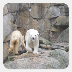 PEGATINAS DE OSO POLAR