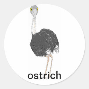 Pegatinas de Ostrich