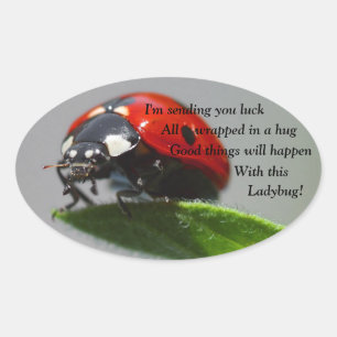 Pegatinas de Oval de Good Luck Ladybug