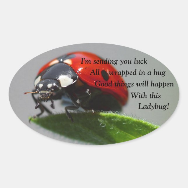 Pegatinas de Oval de Good Luck Ladybug (Anverso)