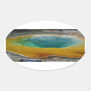 Pegatinas de Oval de Morning Glory Pool