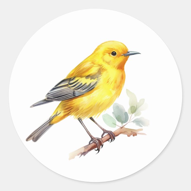 Pegatinas de pájaro amarillo Warbler (Anverso)
