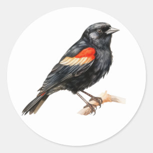 Pegatinas de pájaro de Aves Rojas
