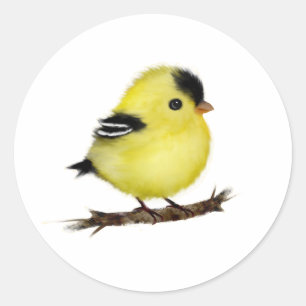 Pegatinas de pájaro de Cute Baby Goldfinch