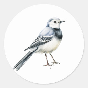 Pegatinas de pájaro de Wagtail Blanco