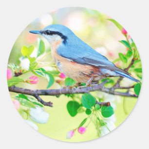 pegatinas de pájaro en primavera