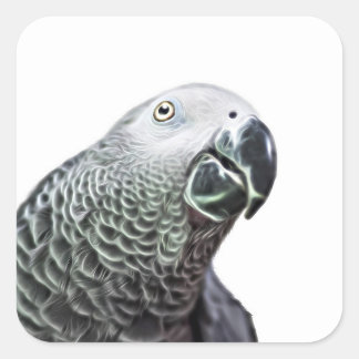 Pegatinas de pájaros grises africanos de arte loro