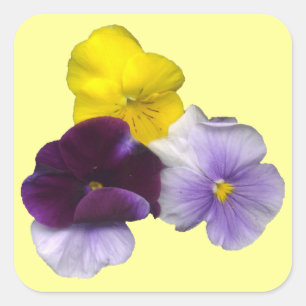 Pegatinas de Pansies