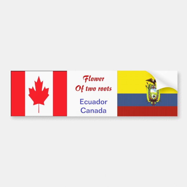 Pegatinas de parachoques de Ecuaradorian-Canadiens (Frente)