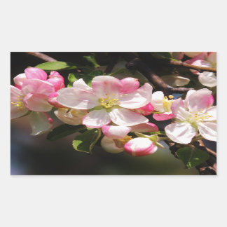 Pegatinas de Pascua de Flores de Rubor