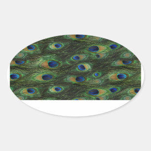 Pegatinas de pavo real verde esmeralda azul real
